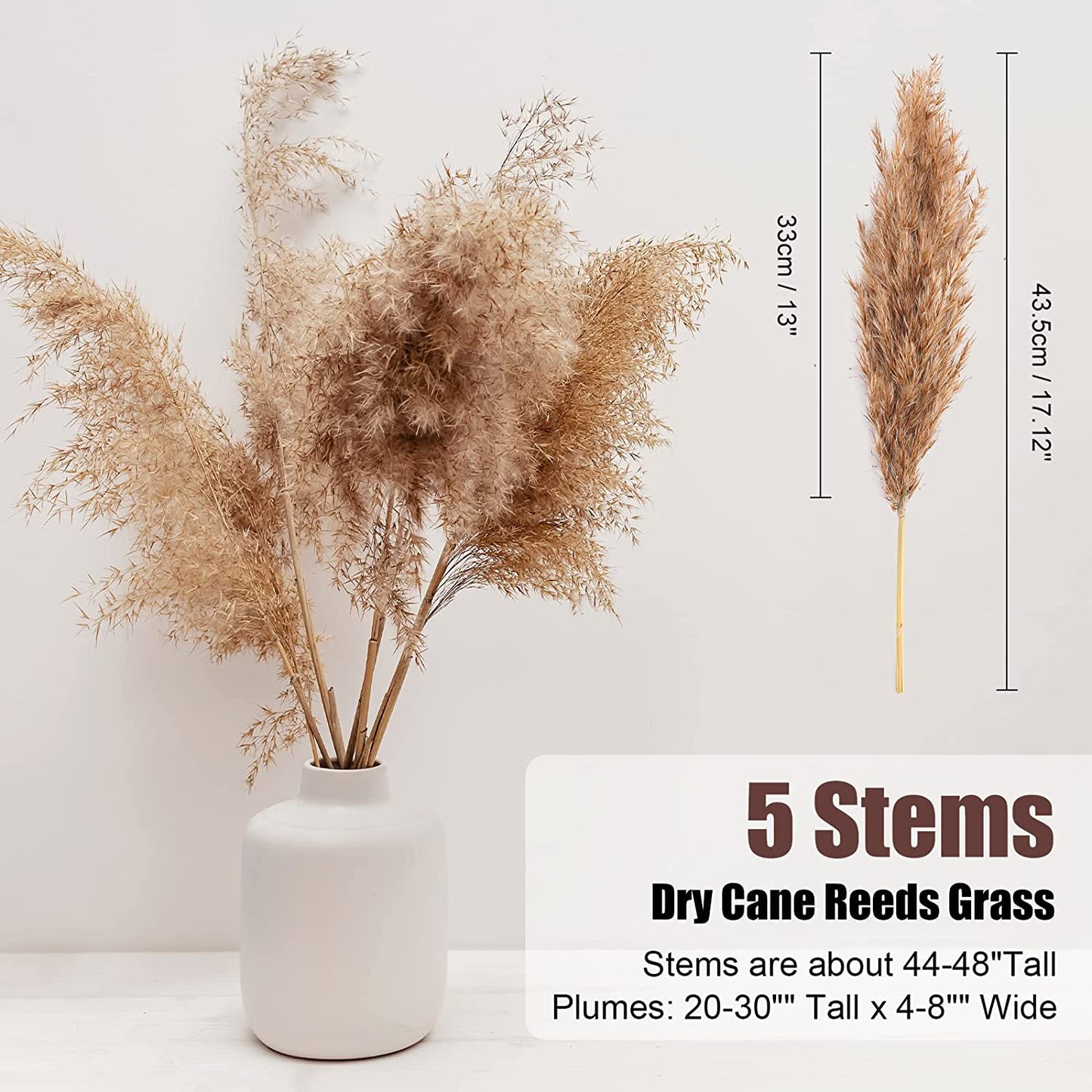 Pampas Grass Bouquet Boho Chic Decor, 105 Stems Dried Plant Bohemian Decoration Dry Flower Bud for Party Arrangement Vase Bedroom Fireplace Wreath Farmhouse Centerpiece Western Fall Neutral Home Decor