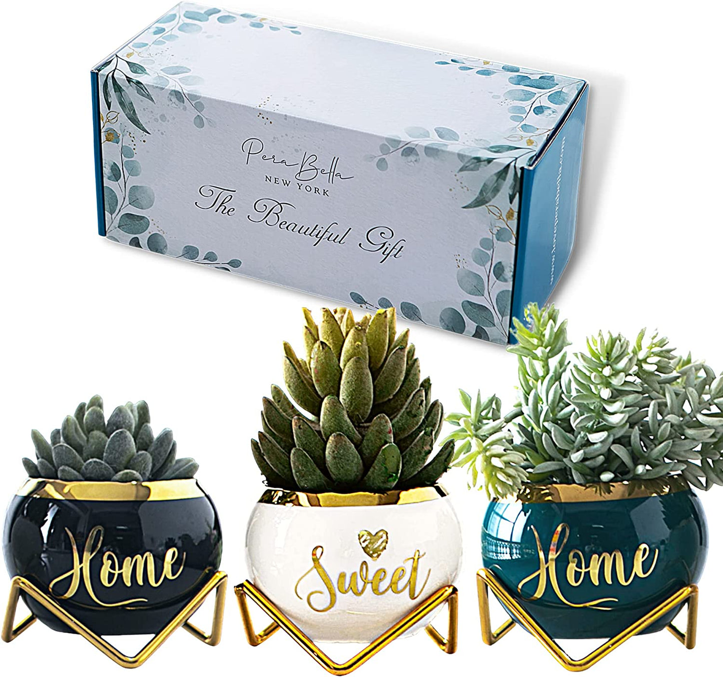 House Warming Gifts New Home, Housewarming Presents Women Couple | Living Room Home Decor Farmhouse Decor, Coffee Table Decor, New Home Gifts Ideas | 3 Succulent Pots for Plant Lovers