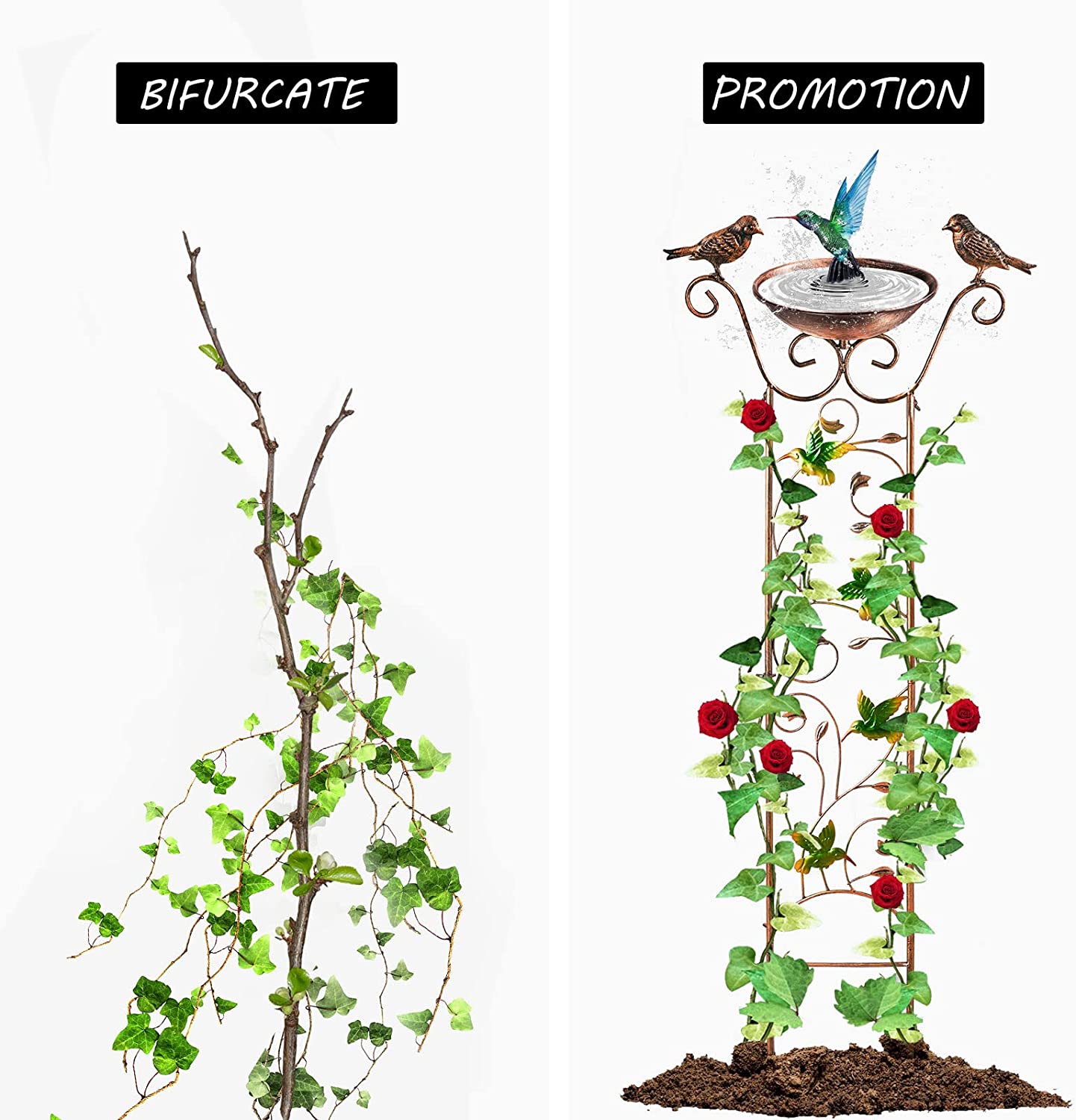 Bird Bath with Garden Trellis for Climbing Plants Outdoor 2 in 1 Bird Baths Bowl,Bird Bath for Outdoors Birdfeeder with Metal Antique Iron Easy to Install Detachable B