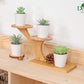 Set of 6 Fake Plants Succulents Plants Artificial in Pots for Bedroom Aesthetic Living Room Bathroom Office Home Decor