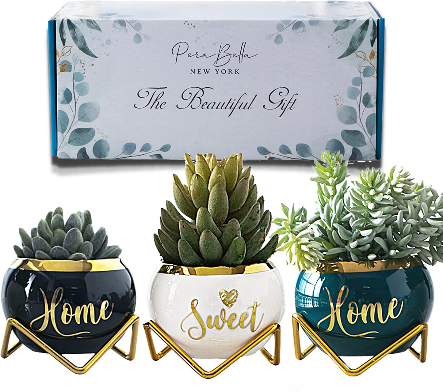 House Warming Gifts New Home, Housewarming Presents Women Couple | Living Room Home Decor Farmhouse Decor, Coffee Table Decor, New Home Gifts Ideas | 3 Succulent Pots for Plant Lovers