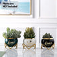 House Warming Gifts New Home, Housewarming Presents Women Couple | Living Room Home Decor Farmhouse Decor, Coffee Table Decor, New Home Gifts Ideas | 3 Succulent Pots for Plant Lovers