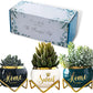House Warming Gifts New Home, Housewarming Presents Women Couple | Living Room Home Decor Farmhouse Decor, Coffee Table Decor, New Home Gifts Ideas | 3 Succulent Pots for Plant Lovers