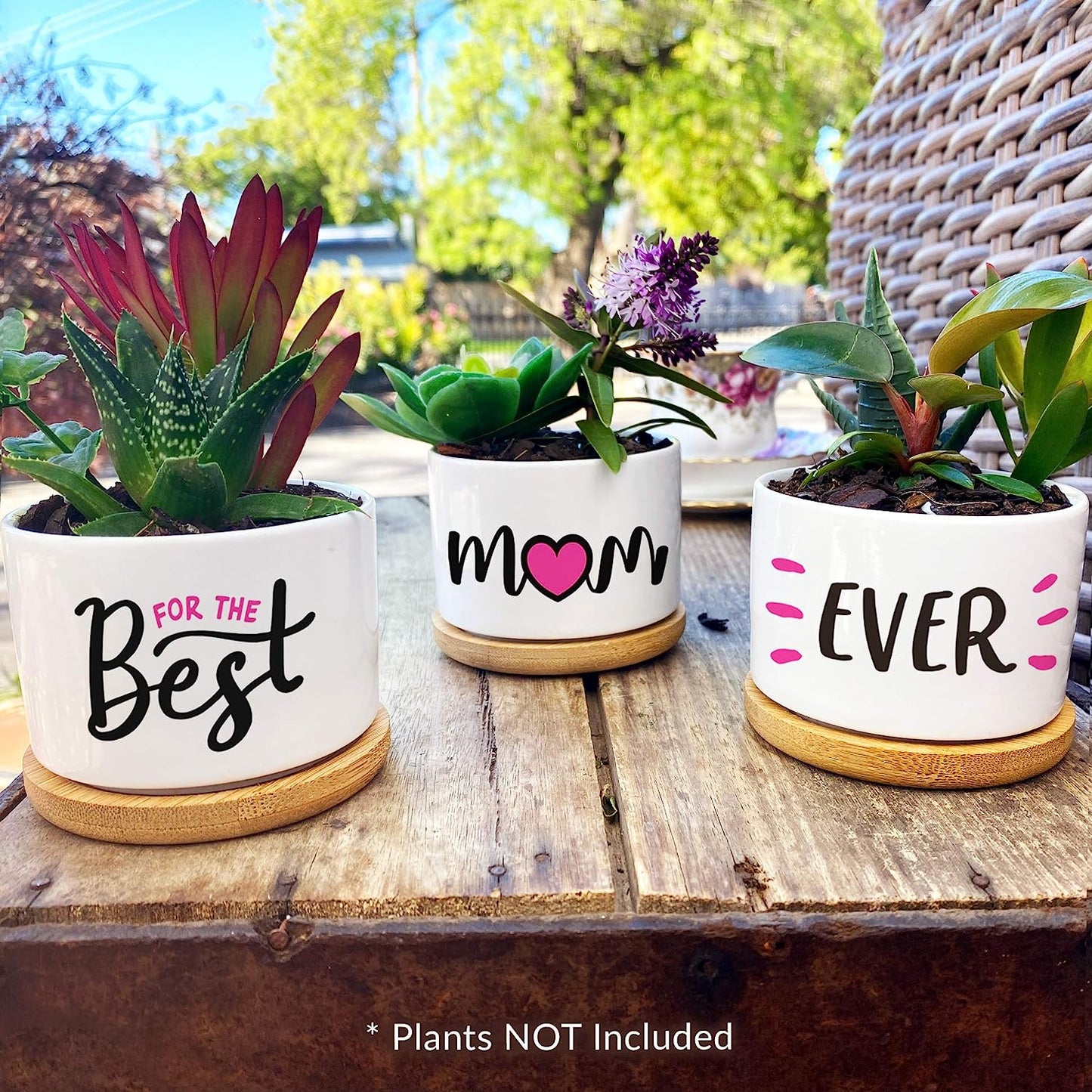 Mothers Day or Birthday Gifts for Mom - Pretty Best Mom Ever Mothers Day Plants Pots are Beautiful Mothers Day Gardening Gifts for Mom, The Best Presents and Arrive Beautifully Gift Boxed