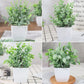 4 Packs Fake Plants Mini Artificial Greenery Potted Plants for Home Decor Indoor Office Table Room Farmhouse