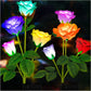 Solar Garden Lights - Newest Version Solar Lights Outdoor, 7-Color Changing Rose Lights for Yard,Garden Decoration, Enlarged Solar Panel, More Realistic Rose Flower (2 Packs)